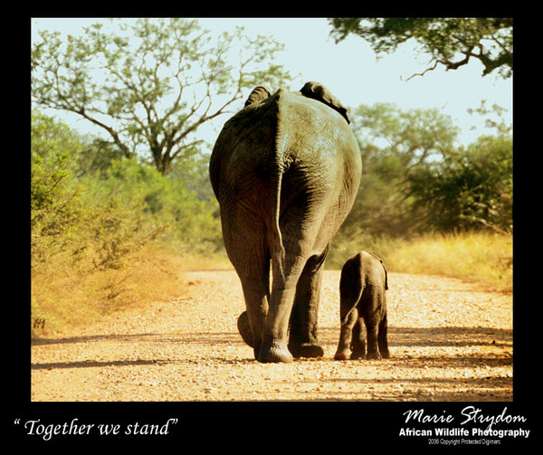 Together we Stand