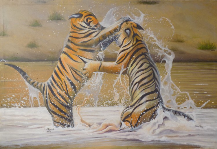 tigers fight
