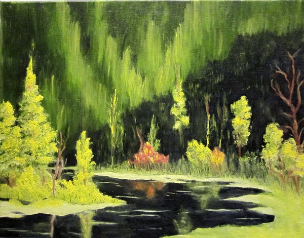 Morning Sun-kissed Deep Forest 