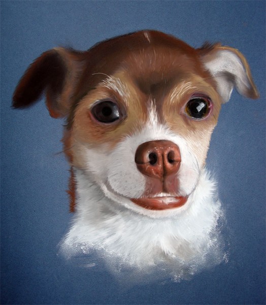 Grinning Gizmo