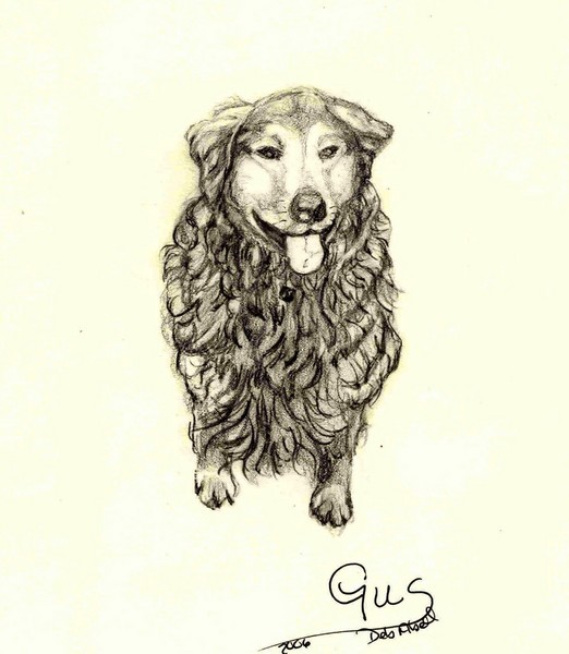 Gus