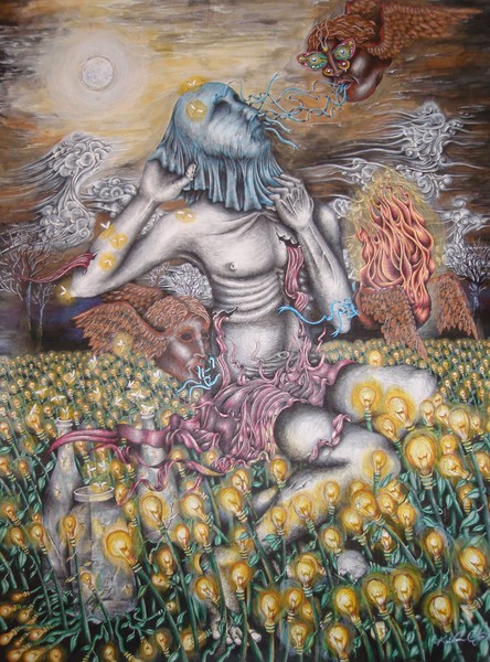 Dreaming in a Field of Light