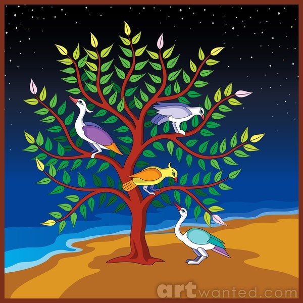 Birds and Nature