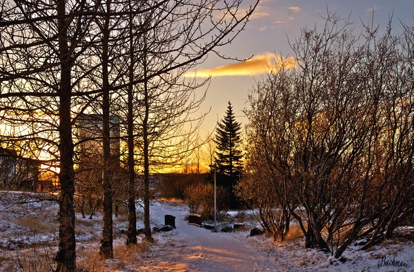  Walking against the sun !
