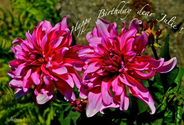  Happy Birthday dear Julie !