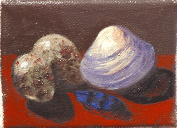 Clam Shell, Blue Jay Feather and Quail Eggs