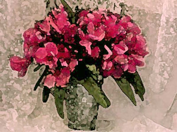 Magenta Flower and Lace