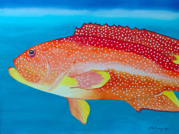 Orange-spotted Grouper