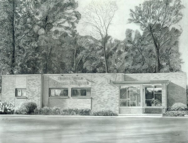 Arbor View Animal Hospital