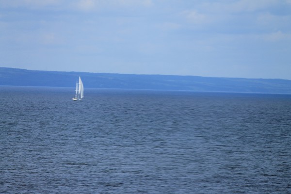 IMG 0968