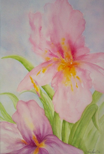 Iris in Bloom
