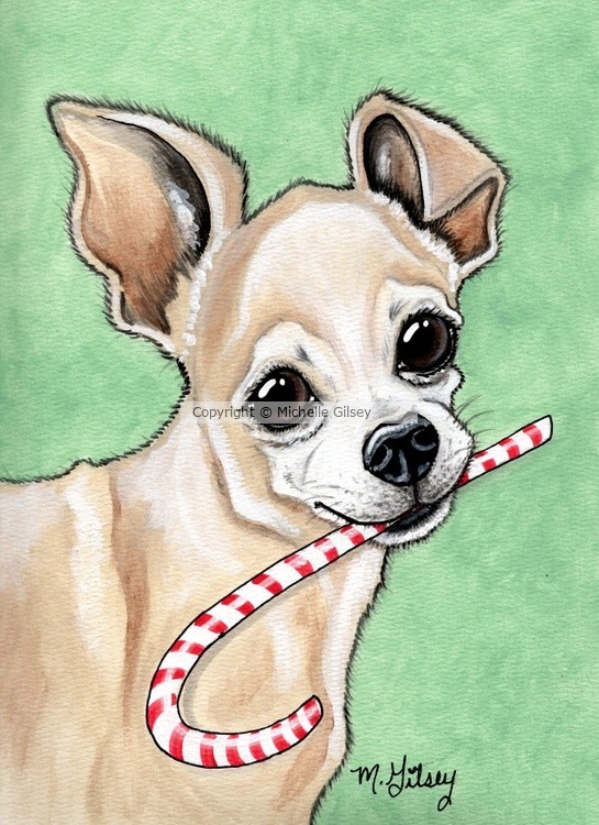 Peppermint Chihuahua
