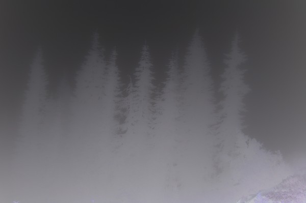 Giants In The Distance
