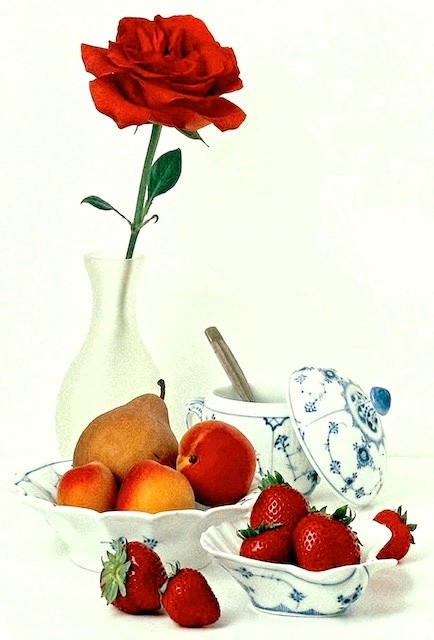 Rose and Berries 