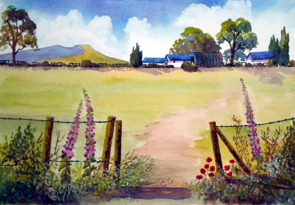 Farm in the Brecon Beacons with foxgloves