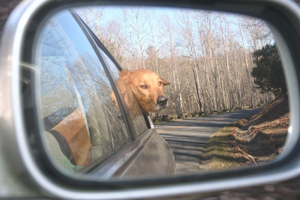 On the Road Again