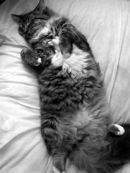 Photo. Simon.