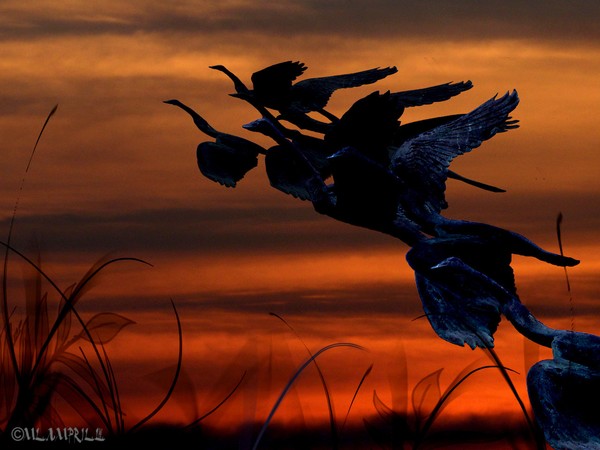 In flight