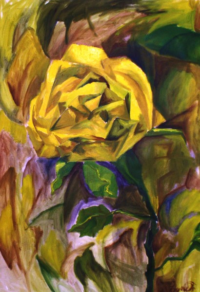 yellow rose