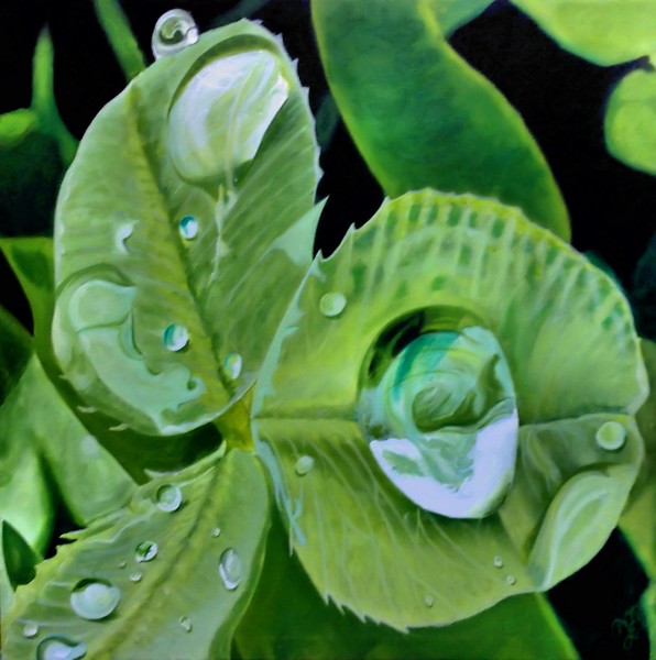 Rain Drops
