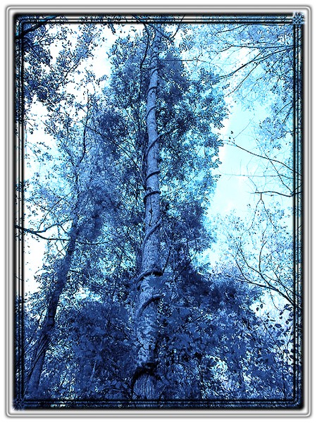 Ice Giant