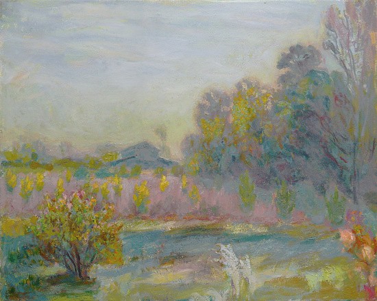 Barn Studio and Yellow Pines