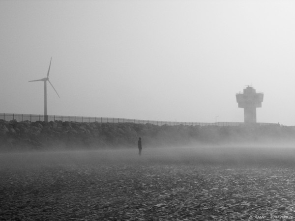 Mists Roll In