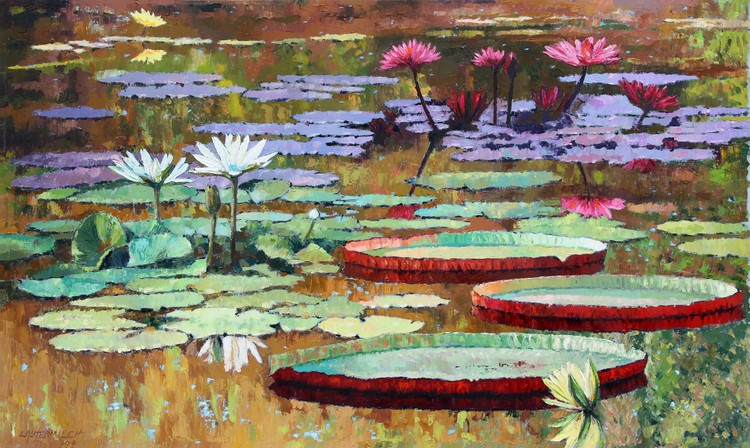 Colors on the Lily Pond