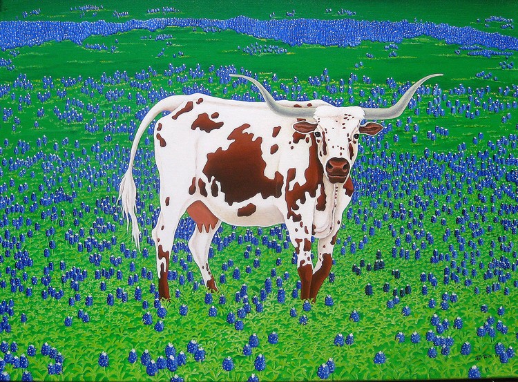 Longhorn Cow