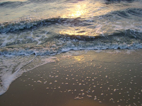 Sea Foam