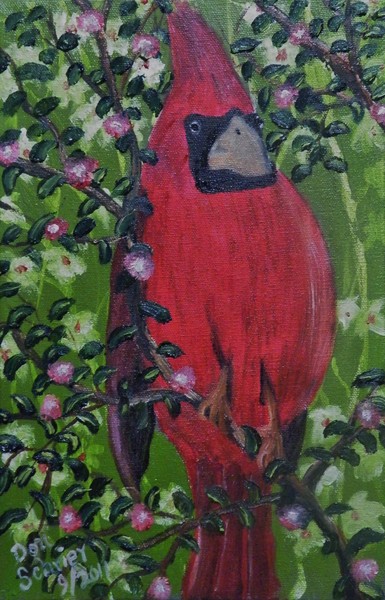 Male Cardinal