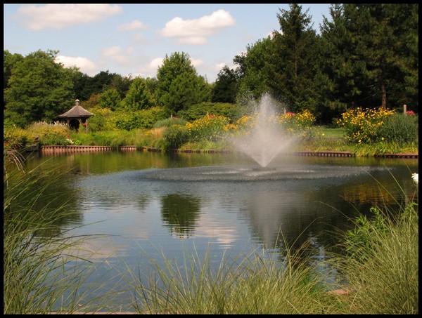 GARDEN POND @ CANTIGNY