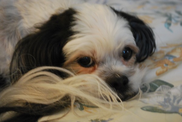 Zoe