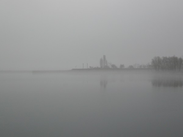 Fog on the water