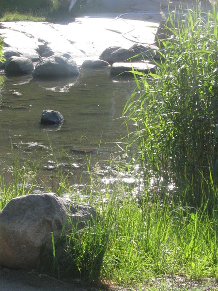 SUMMER IN HELSINKI