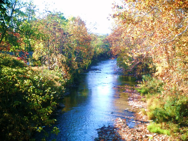 THE VIBRANT COLORS OF AUTUMN