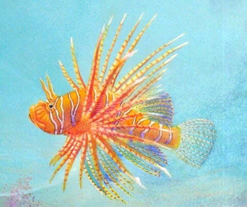 LionFish