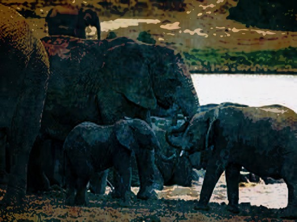 the pack 1
