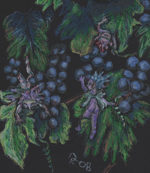 Pinot Noir Tendrelytes