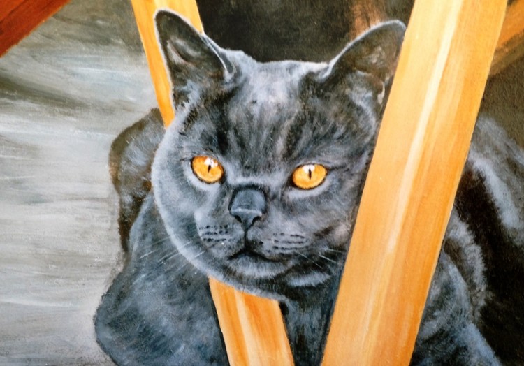 British Blue