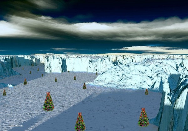 Where Christmas Trees Grow
