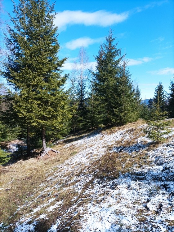 Mountain area in my county