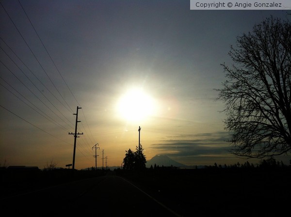 Washington State