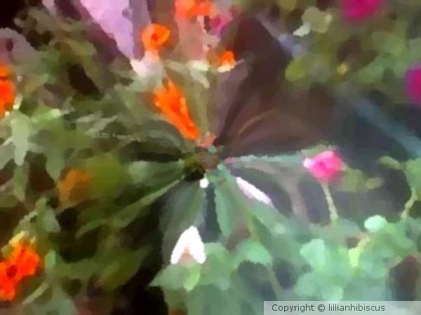 Floral Colors