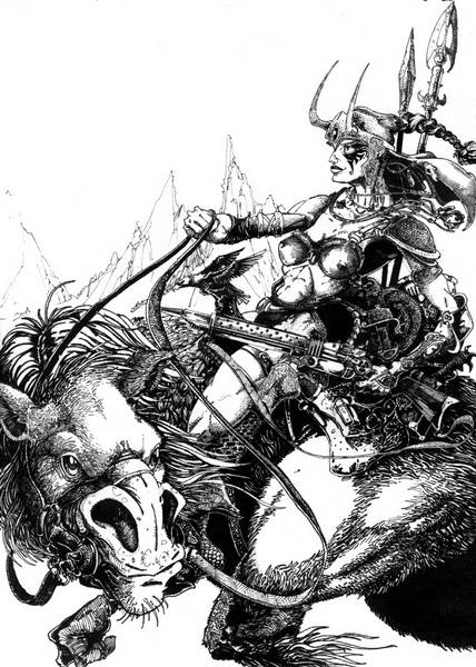 WORRIOR RIDER of DYS's
