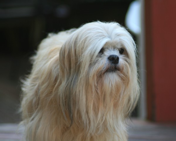 Mandy #3
