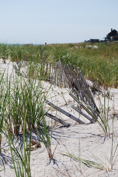 sandy spot