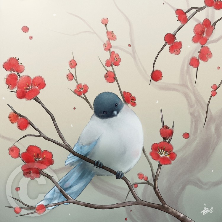 Little Bird and The Plum Blossoms