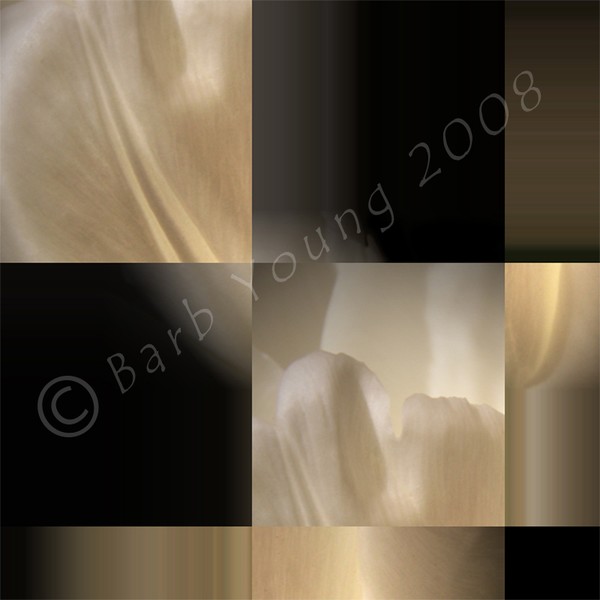 Golden Elegance
