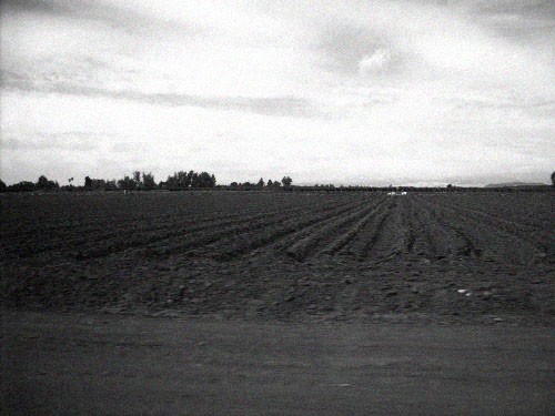 Countryside